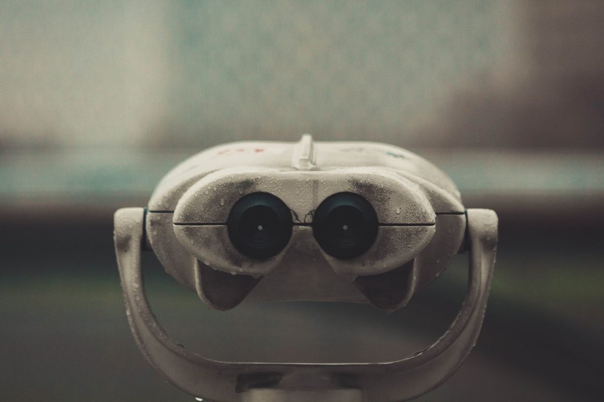 당신은 '다재다능'이 아니라 '정체성 불분명'입니다: 한국식 올라운더 이력서의 치명적 함정