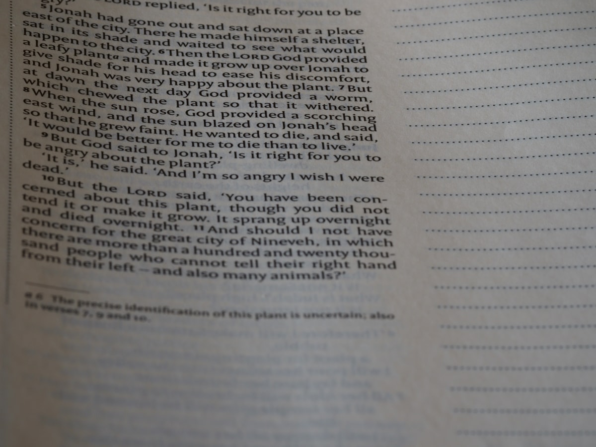 링크드인 'About' 섹션은 당신의 자기소개서가 아닙니다: 2026년 글로벌 리크루터를 멈추게 하는 3초 요약법